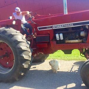 Meet your Posher, Chad